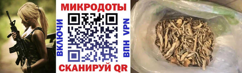 Купить где  Славянск-на-Кубани  Галлюциногенные грибы GOLDEN TEACHER 